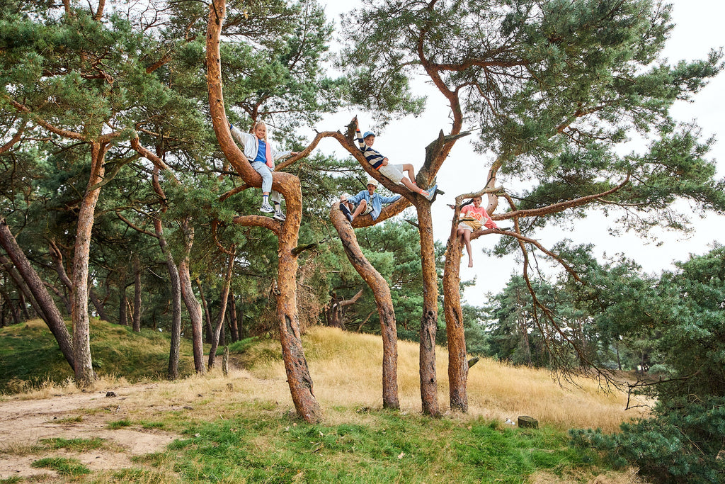 EXPLORONS LE PRINTEMPS '25