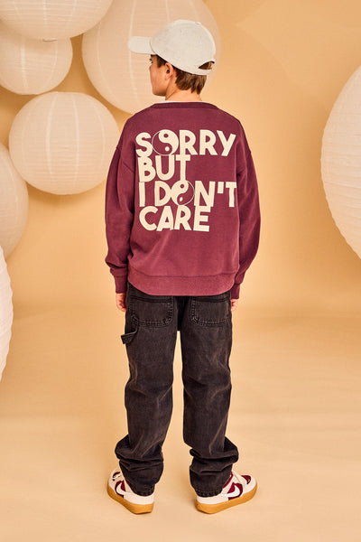 Sorry, but I don't care !