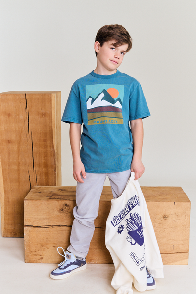 Mountain Explorer