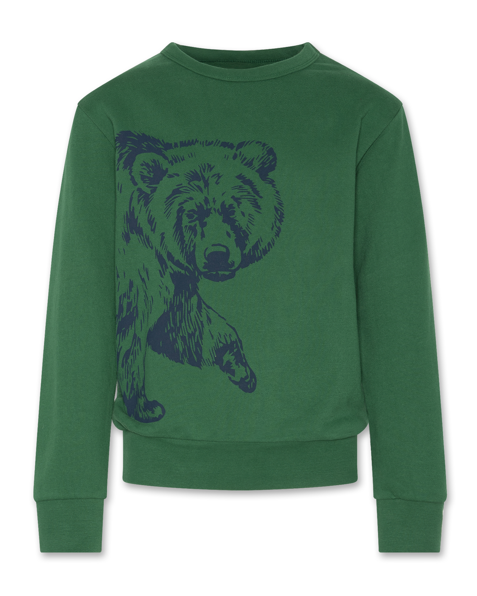 tom c neck sweater bear AO76