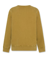 willow green