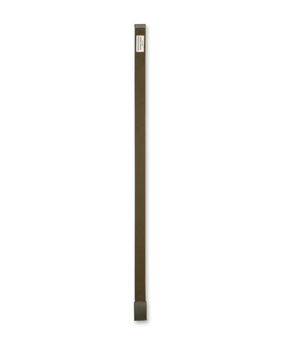thyme