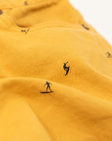 camel