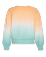 soft ocean