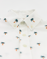 offwhite